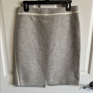 Elegant Gray Women's Skirt